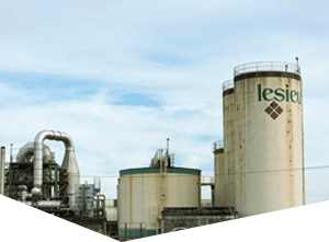 网页DDOS攻击平台